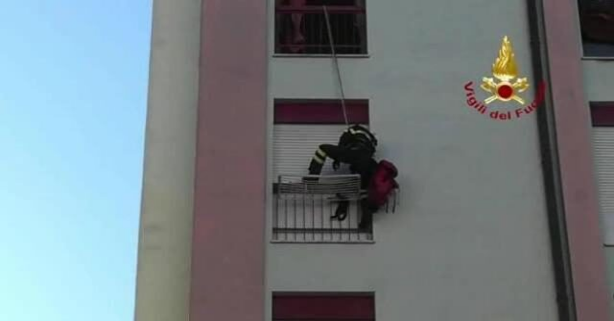 Terni: Vigili del Fuoco salvano un povero gatto caduto dal balcone