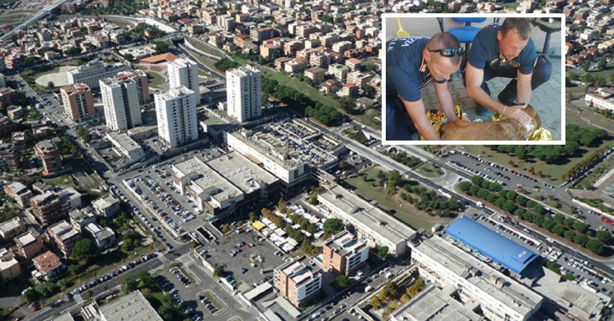 Roma, giovane italiano tenta il suicidio con il cane svenuto al guinzaglio