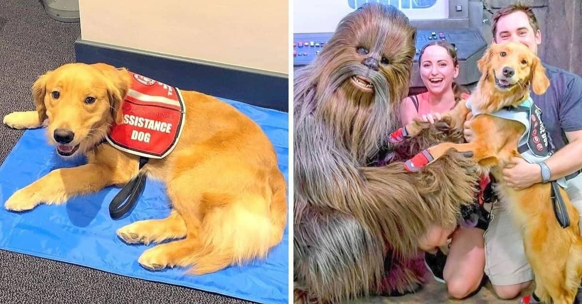 Il primo commovente incontro tra Sparrow e Chewbacca