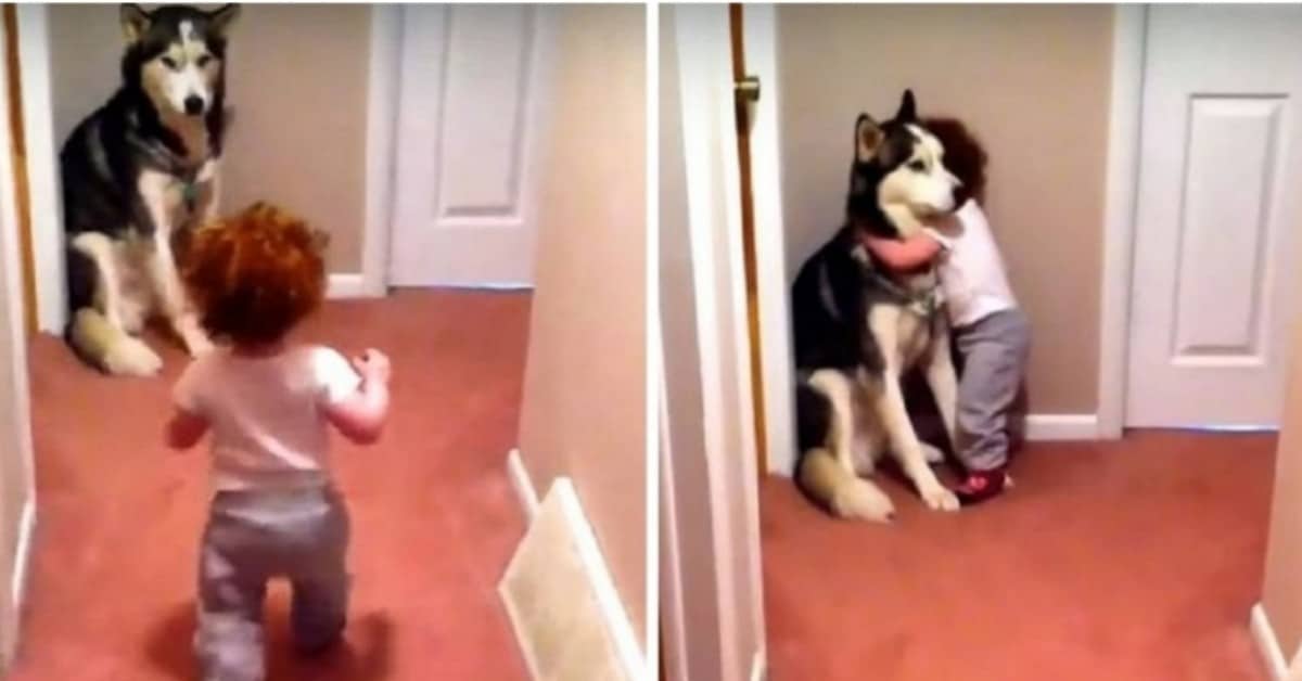 Il dolce abbraccio tra la bimba ed il cagnolino