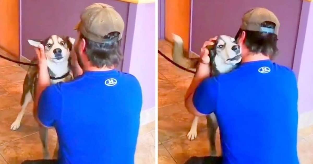 Jack rivede il suo amico umano dopo 4 lunghi anni