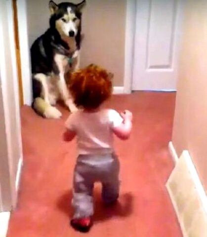 il-dolce-abbraccio-tra-la-bimba-ed-il-cagnolino 1
