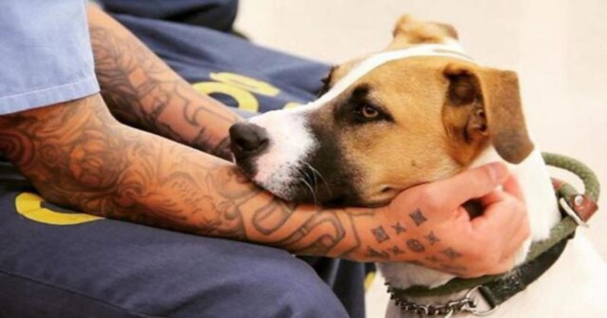 L’iniziativa “Fuori dal cuore”, tra detenuti e cani randagi