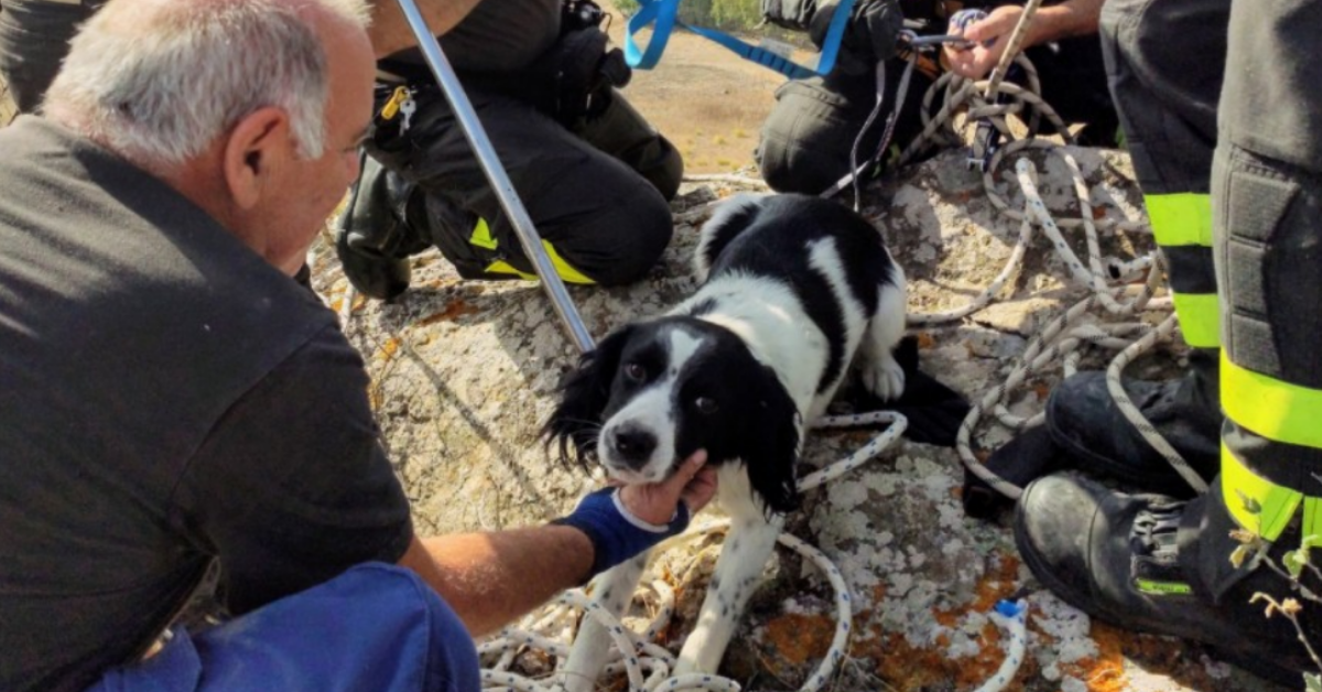 Serrenti, cane è caduto in uno strapiombo di 10 metri. Salvato dai vigili del fuoco.