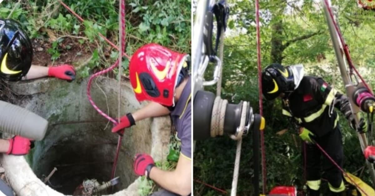 Pieve Albignola, cane caduto in un pozzo profondo 15 m. Salvato dai Vigili del Fuoco S.A.F.