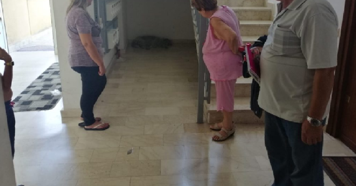 PALERMO Stellina investita si ripara in un condominio