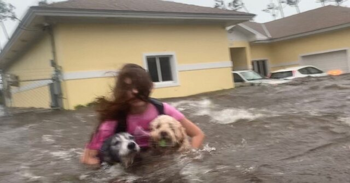 Famiglia si rifiuta di abbandonare i cani durante l’uragano Dorian