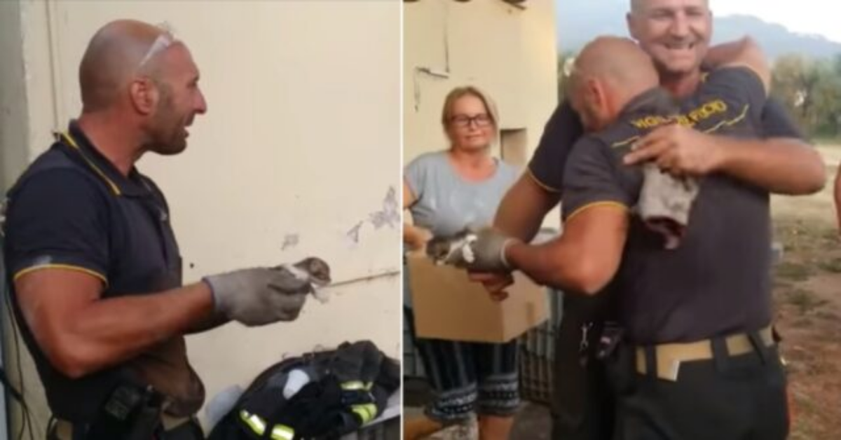 Il video del Vigile del Fuoco che si commuove per aver salvato un gattino