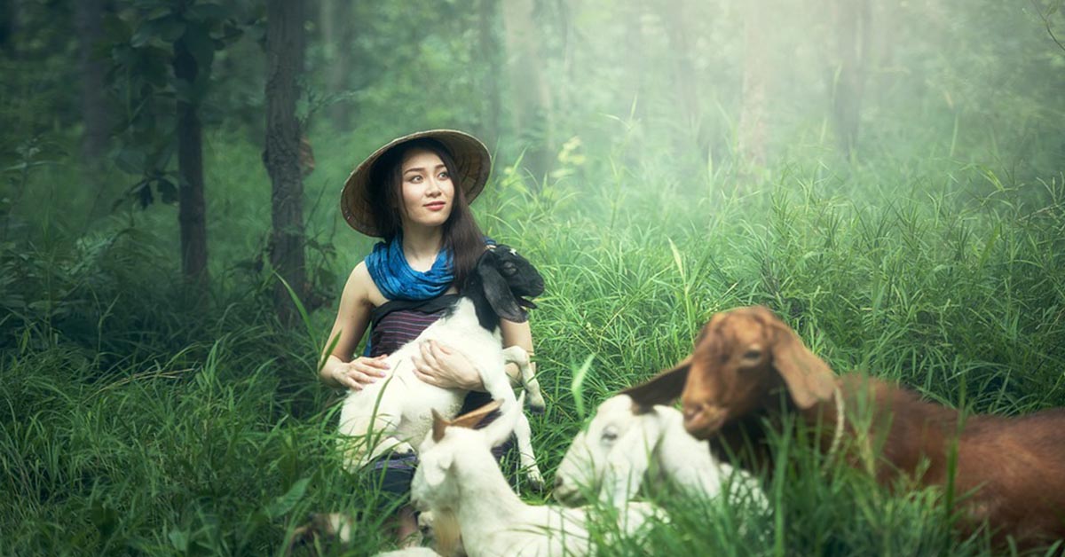Pet therapy: gli animali più bizzarri per il supporto emotivo
