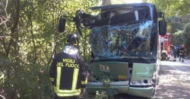 bus-albero