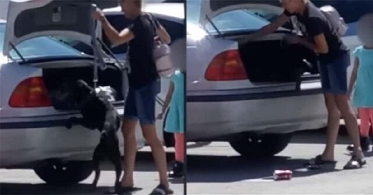 Donna carica il cane malnutrito nel bagagliaio dell’auto calda