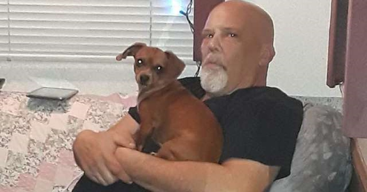 Cane fedele conforta il suo papà umano fino alla fine