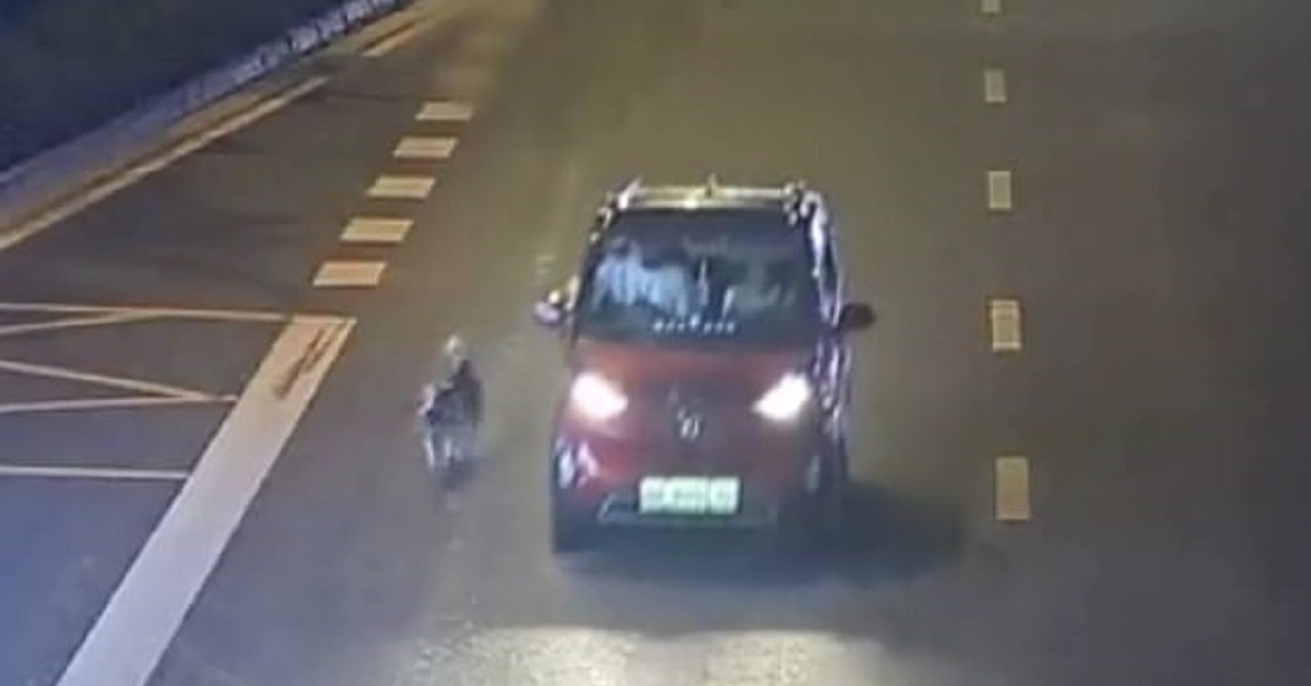 Il cane di Liuzhou, costretto a seguire a piedi una macchina