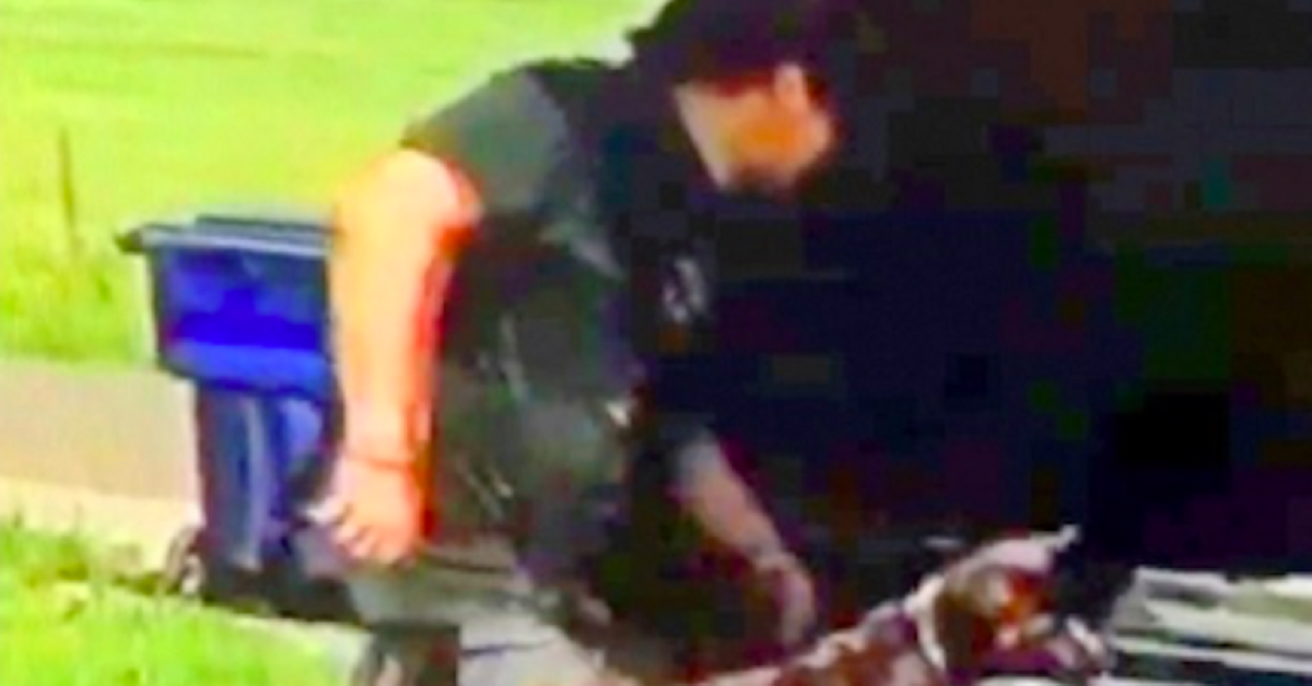 Uomo cerca di scaricare 3 cani in una strada di campagna