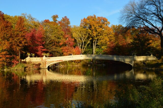 Autunno a New York: tra foliage e magia