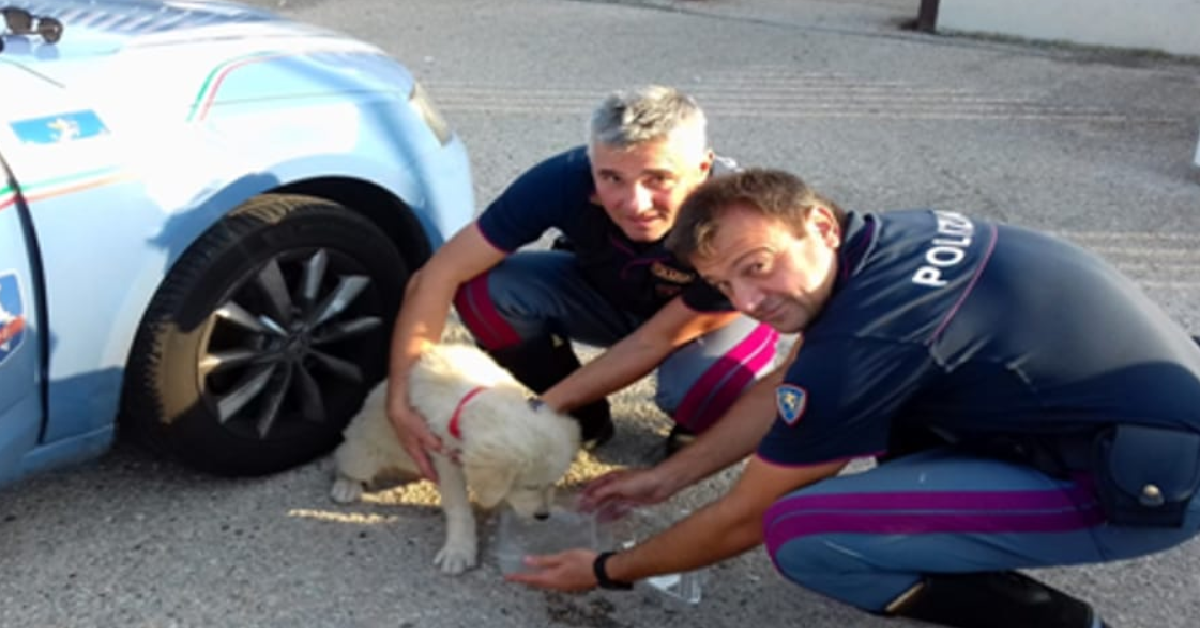 CHIETI A 14 Cucciolo salvato dalla Polizia
