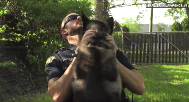 poliziotto-salva-un-cane-ma-alla-fine 1