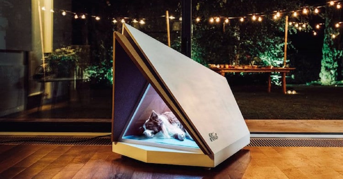 La cuccia per cani che aiuta i cuccioli ansiosi a dormire