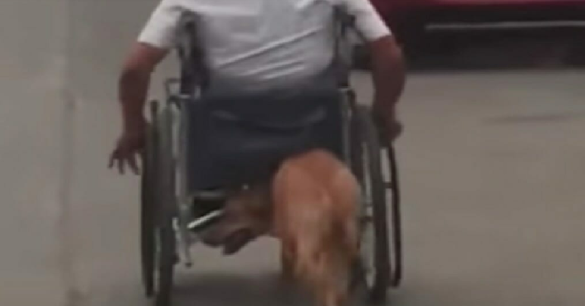 Danilo e la sua sedia a rotelle
