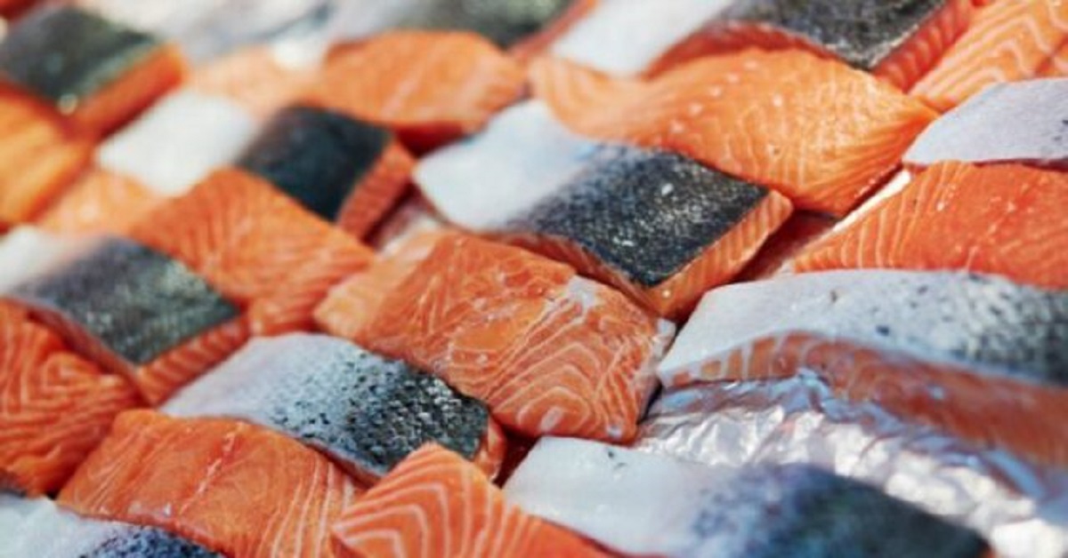 Salmone d’allevamento: l’alimento più tossico
