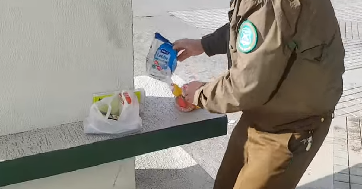 Il poliziotto e i randagi