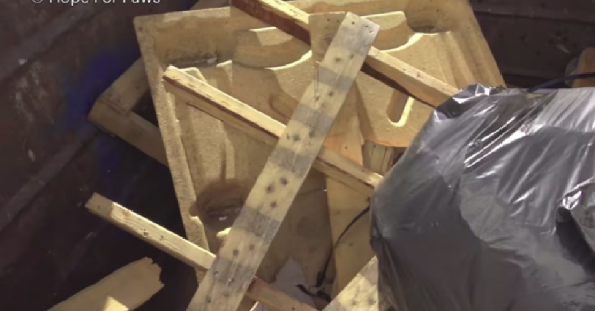 Uno strano sacco dell’immondizia