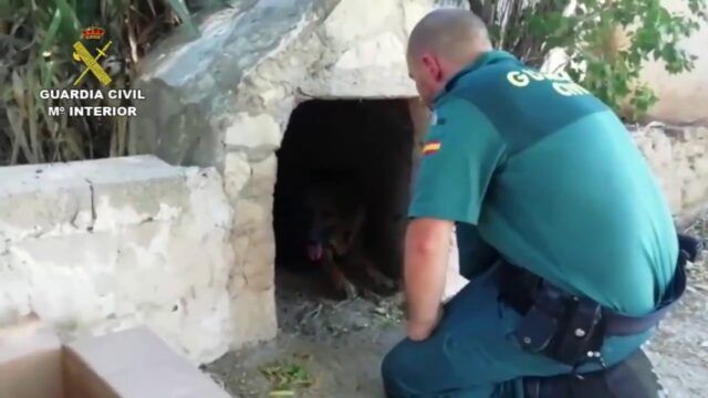 Guardia-Civile-salva-sei-cuccioli-in-grave-pericolo