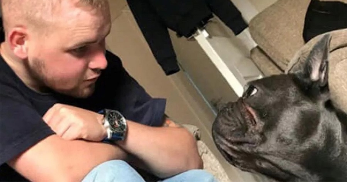 Nero, il cane morto 15 minuti dopo il suo padrone