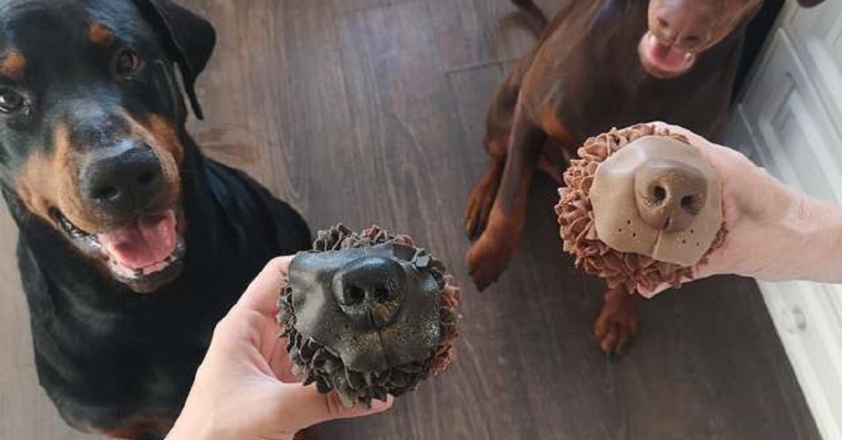 Donna chiede al fidanzato dei cupcake a forma di naso del suo cane