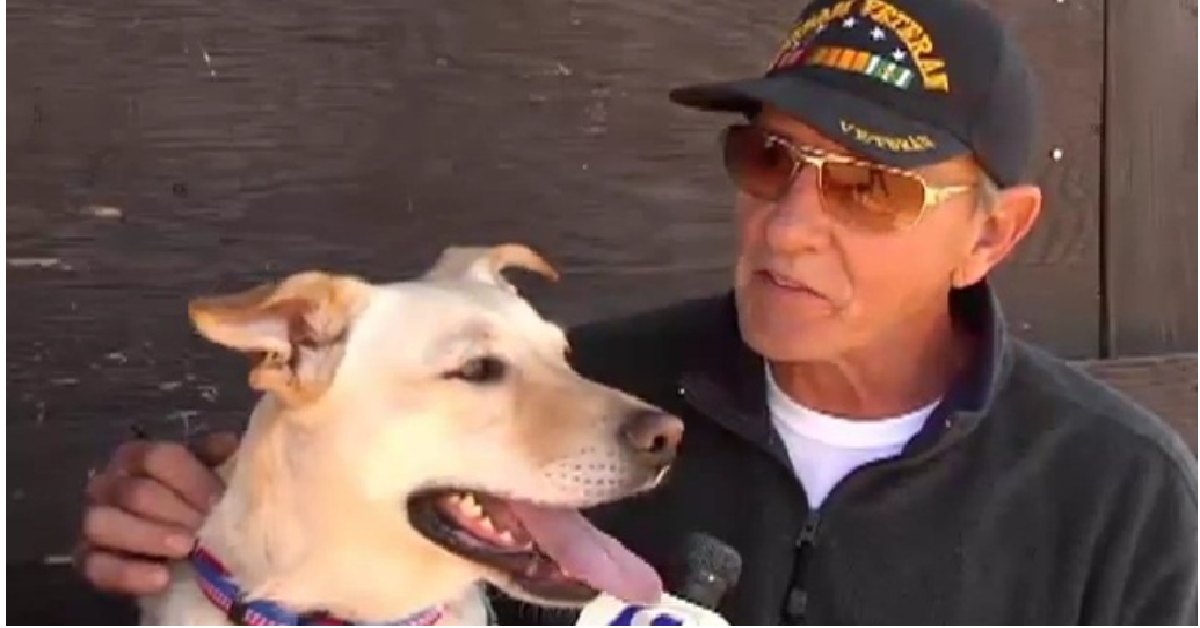 Rocky adottato da una famiglia fa un gesto che lascia senza parole