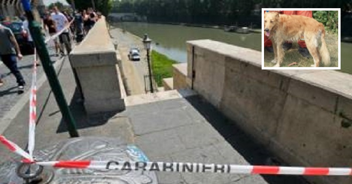 Roma, a Centro Giano cane cade nel Tevere