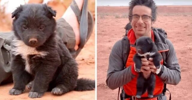 i-due-esploratori-salvano-il-cucciolo-abbandonato-e-lo-aiutano-a-trovare-una-nuova-famiglia