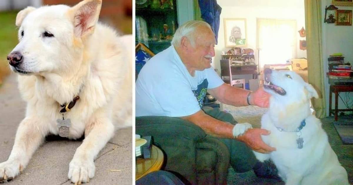 Stavano per mettere fine alla sua vita, ma alla fine Sam ha trovato una nuova casa