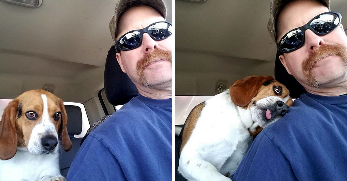 Uomo salva un beagle dall’essere sacrificato in un rifugio: ecco come lui ringrazia