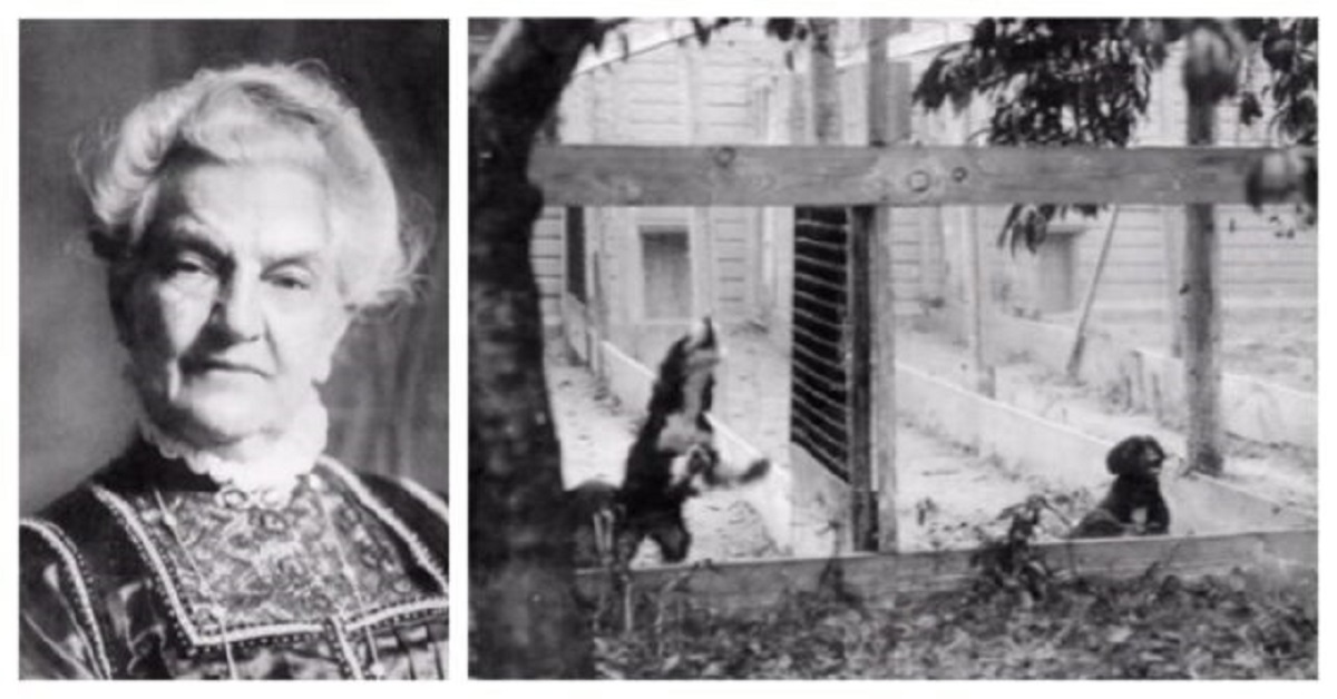 Il primo rifugio per animali è stato fatto da una donna 150 anni fa