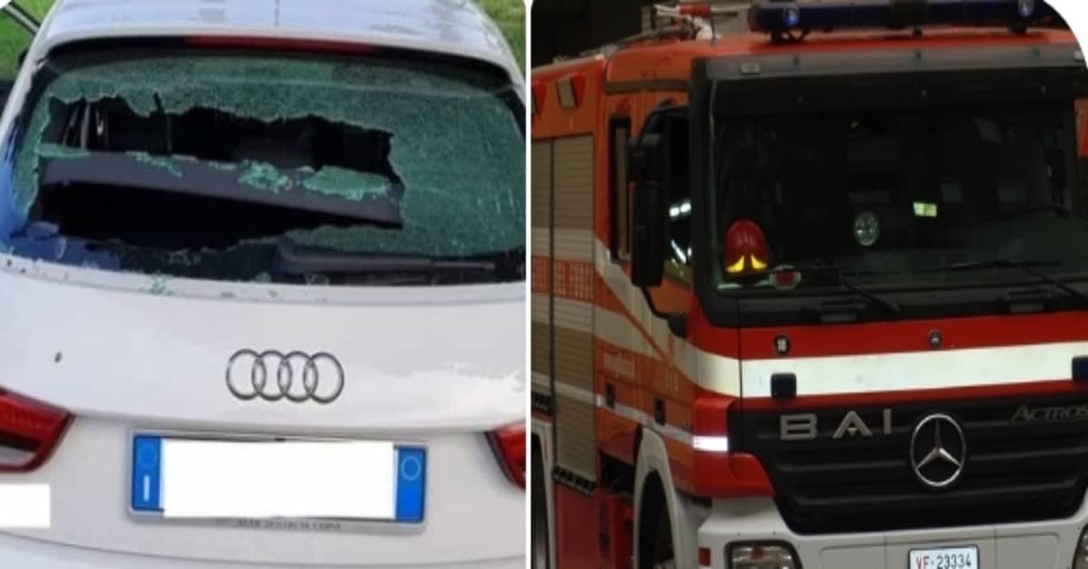Milano, cane lasciato sotto il sole, chiuso dentro un’Audi.