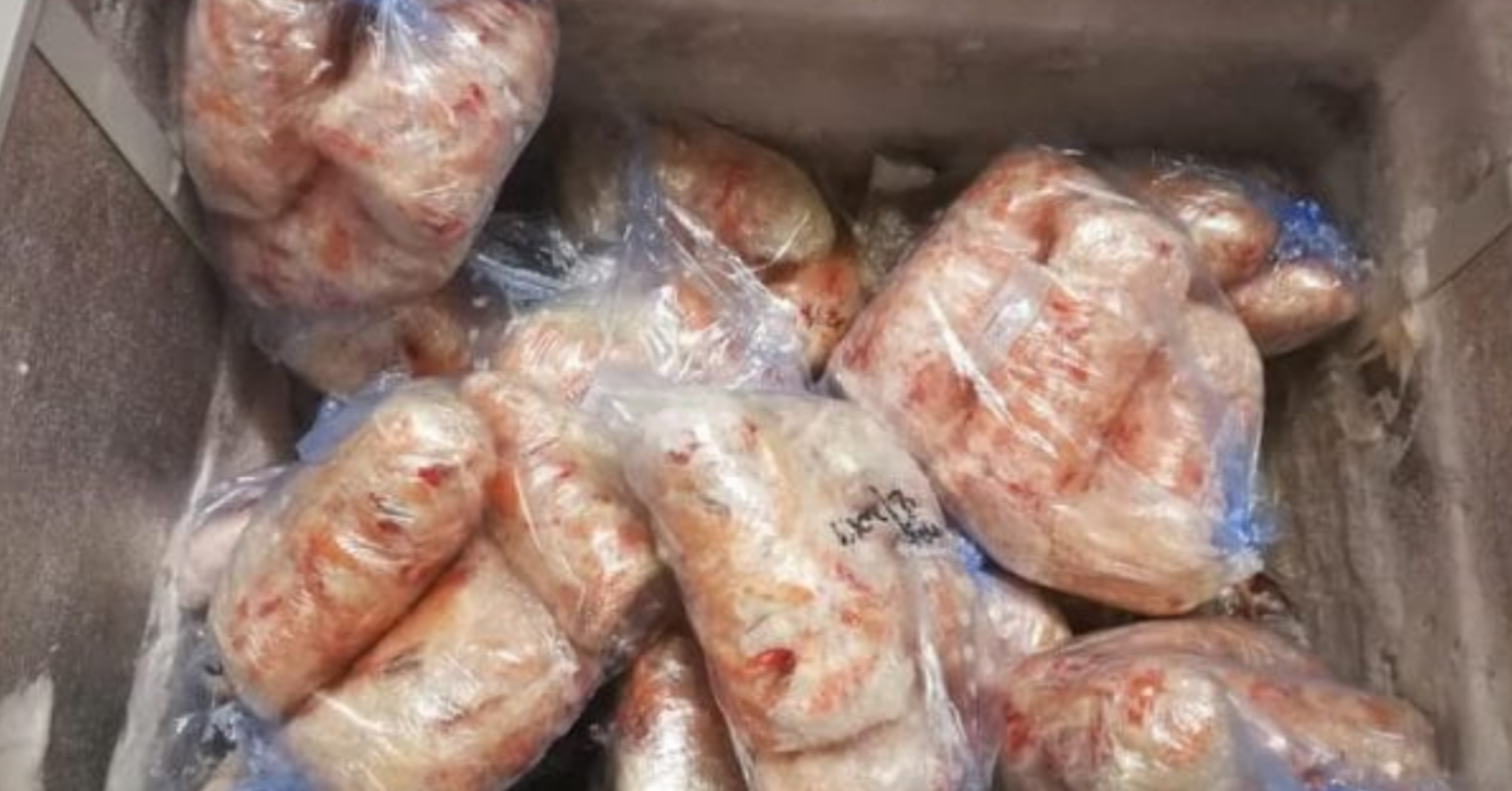 Cologno Monzese, sequestrato pesce congelato in un ristorante