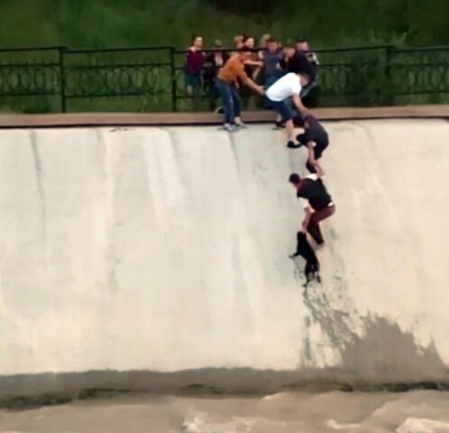 i-ragazzi-salvano-la-vita-del-cagnolino-caduto-nel-serbatoio 2