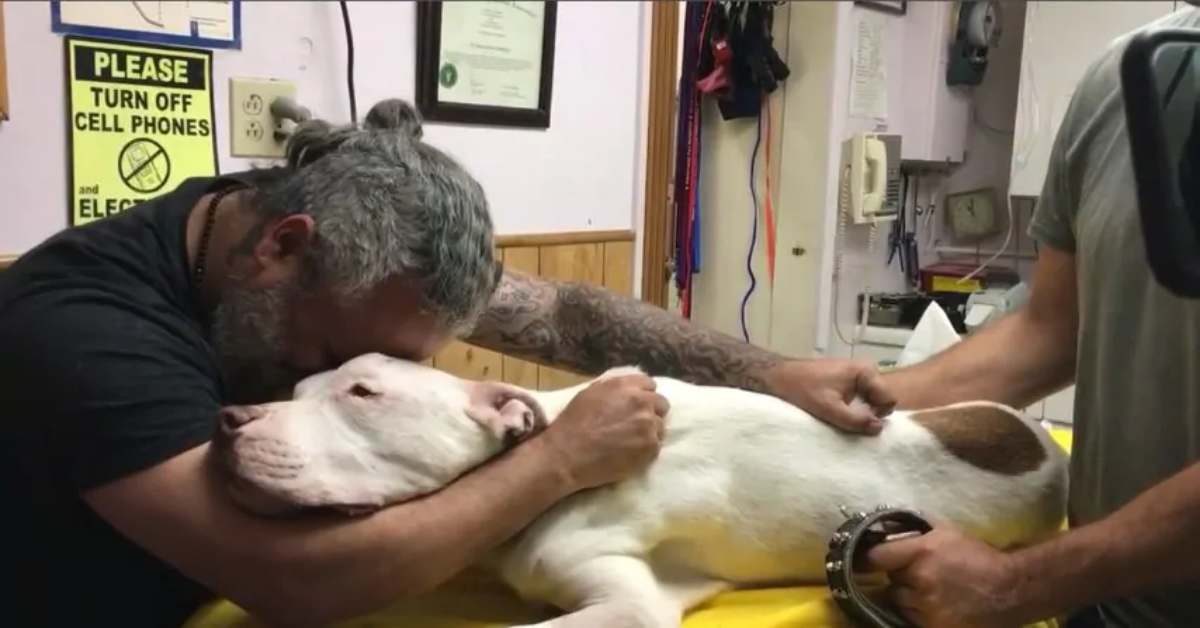 Dopo 14 anni di amore, è costretto a salutare per sempre il suo cane