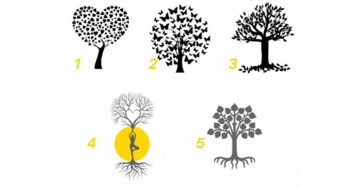 Il messaggio dell’albero magico