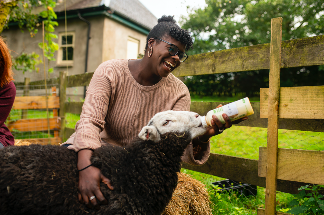 Giornata Mondiale degli Animali: le Animal Experiences di Airbnb