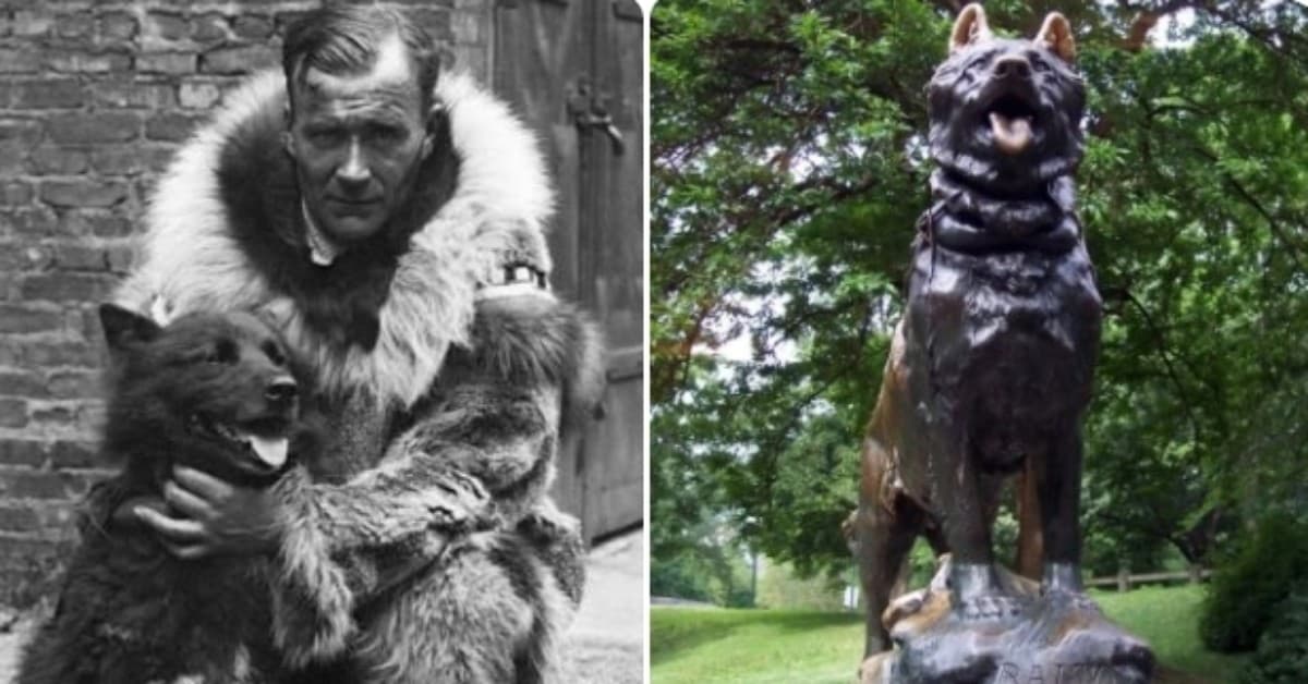 Balto è esistito davvero. Questa è la sua storia.