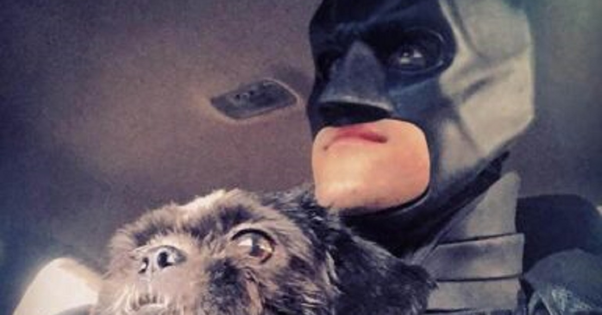Batman è in missione per salvare gli animali randagi