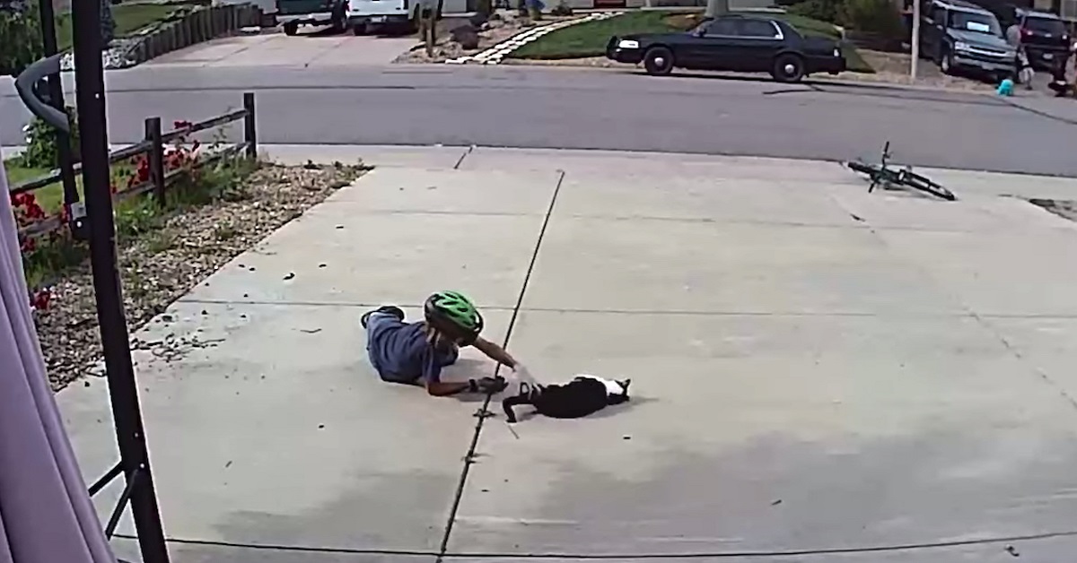 Ragazzo sorpreso dalle telecamere mentre gioca con il gatto del vicino