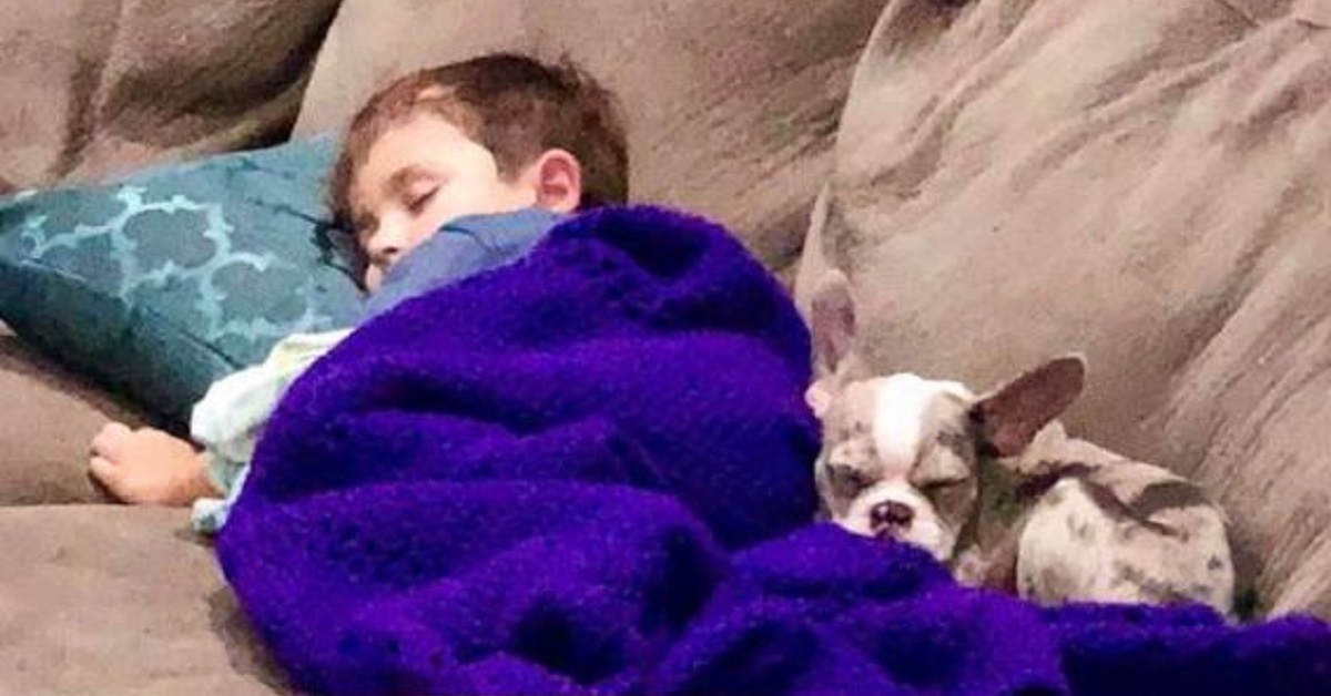 Il ragazzino e il suo cane vincono la gara dei costumi di Halloween