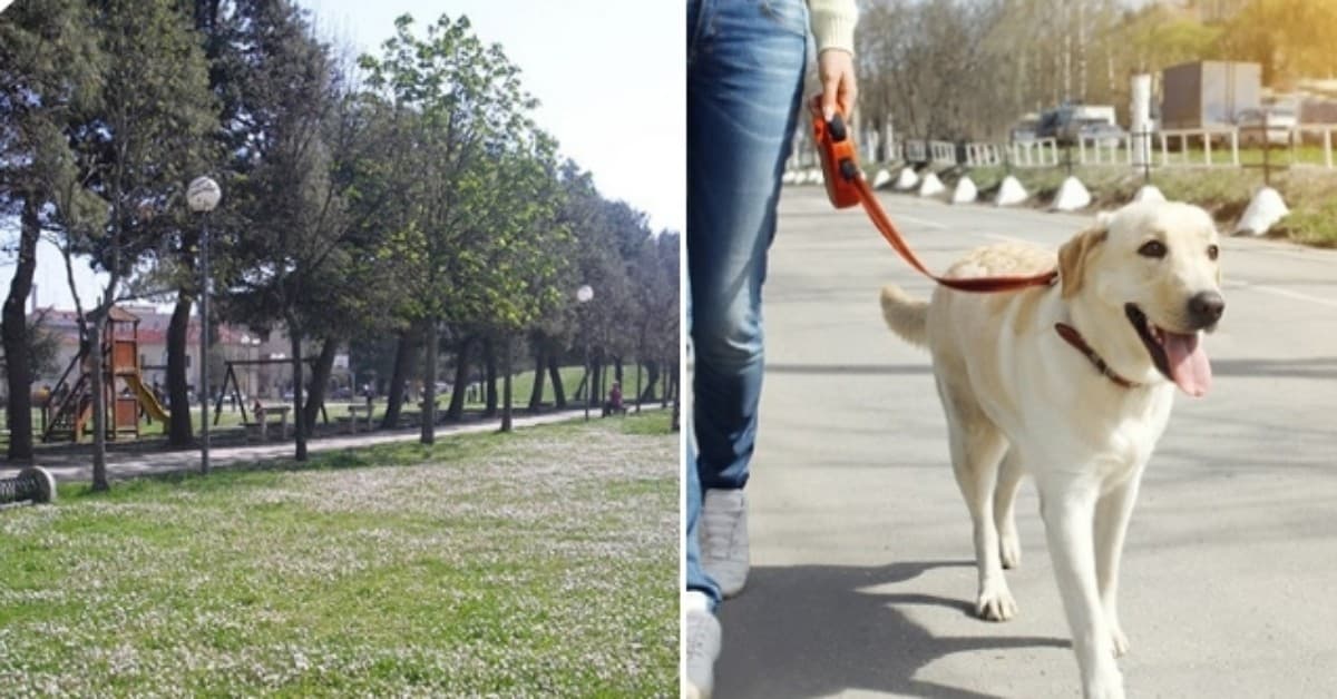 SENIGALLIA, dodicenne multata per aver portato il cane al parco