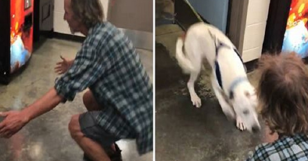 Il senzatetto si riunisce con il suo cane perduto dopo due settimane