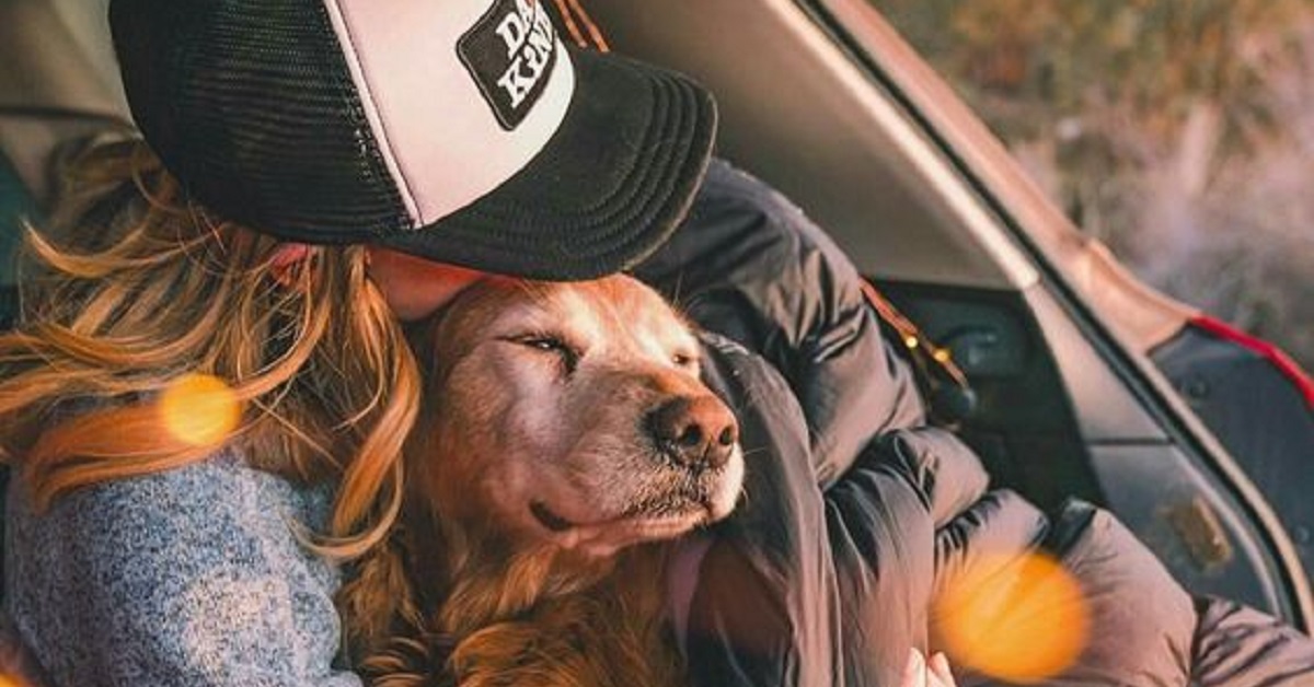 Azienda paga per andare in vacanza con il tuo cane in un cottage