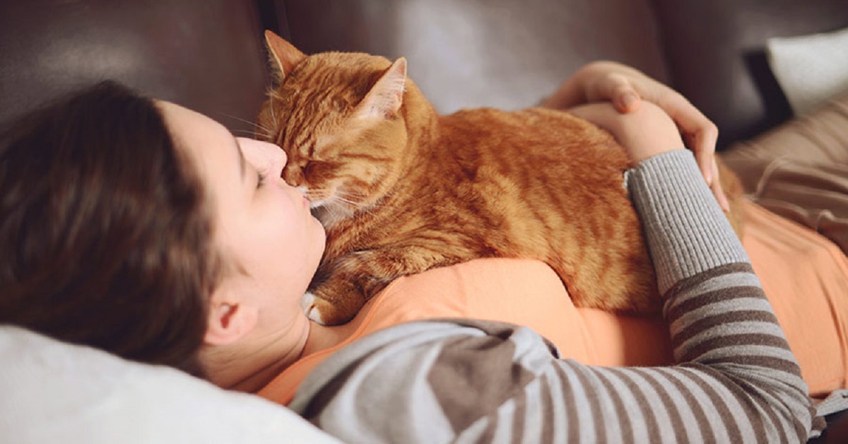Gatto-terapia: 5 grandi benefici della vita con un gatto