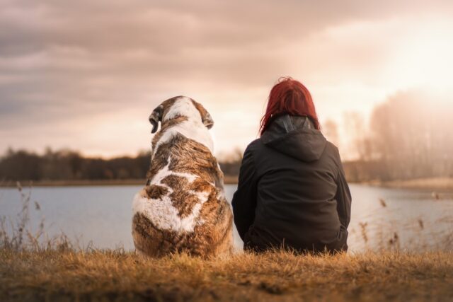 Io e il mio cane: quando l’amore è per sempre